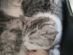 -美联众合24小时·皮肤科·外科·全科诊疗中心(华苑分院)