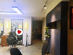 -BOF HAIR BY HONTO