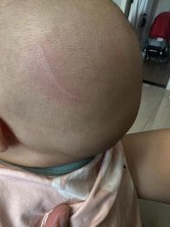 -慧婴轩婴儿理胎发胎毛笔胎毛画手足印(通州店)