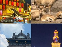 -盐城丹顶鹤湿地生态旅游区