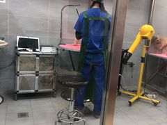 -宠福鑫康馨动物医院·骨科·眼科