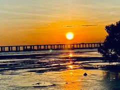 -宝安西湾红树林湿地公园