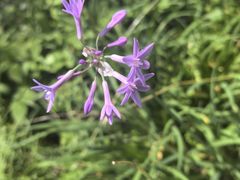 -苏州河梦清园环保主题公园