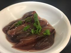 荧光鱿鱼-Sushi Hanzo半藏(天环广场店)