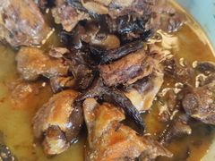 -白渔泡湿地公园