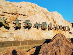 -北京西山国家森林公园