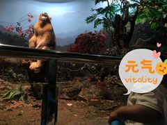 -陕西自然博物馆