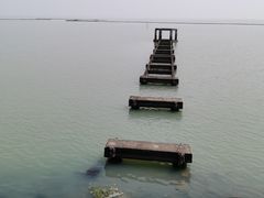 -贡湖湾湿地公园