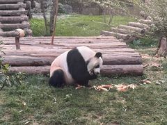 -济南野生动物世界