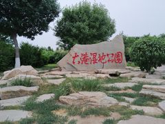 -大港湿地公园