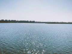-丁香湖公园