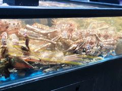 -盒马鲜生(皇庭广场店)