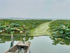-莲花岛景区