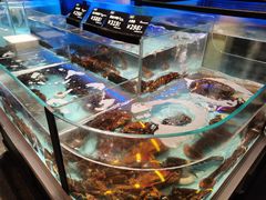 水产区-锦福大酒店