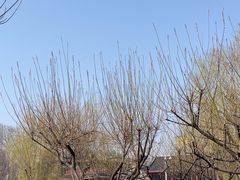 -堤角公园