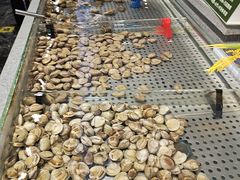 -圣罗巴海鲜自助(黑金店)