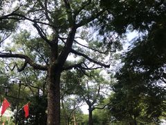 -同心泥烩鸡