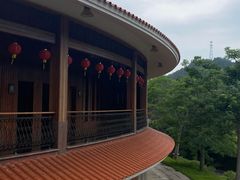 -雁南飞茶田景区