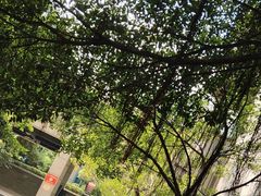 -拖板鞋咖啡旅行酒店(春熙路地铁站店)