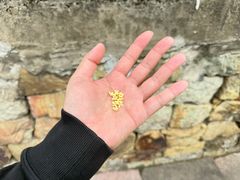 -东钱湖旅游度假区