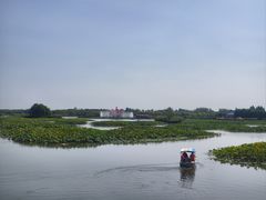 -白洋淀景区