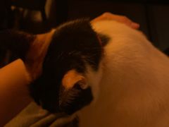 -江湖边·小生活