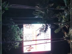-三亚红色娘子军演艺公园景区