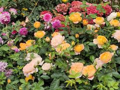 -人民公园(罗湖区)