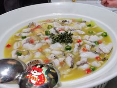 -青花椒花椒鱼(合生汇店)