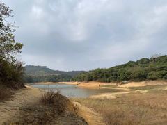 -东莞市大岭山森林公园