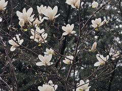 -木塔寺遗址生态公园