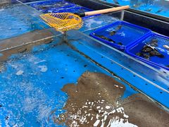 -小林哥的海鲜馆·夜宵烧烤(渔人码头店)