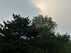 -绿堤公园