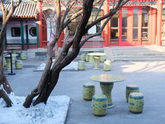 -宫事颐庭·老佛爷贵寿下午茶(颐和园店)