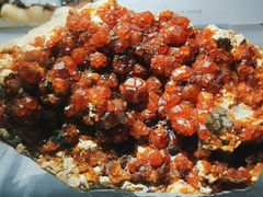 -湖南省地质博物馆