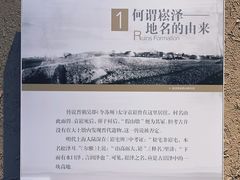 -上海崧泽遗址博物馆