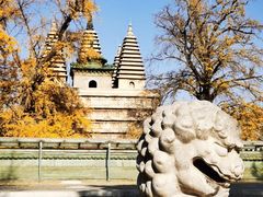 -北京石刻艺术博物馆(五塔寺)