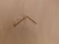 android_upload_pic-新聚丰菜馆(太监弄店)