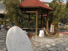 -金孔雀温泉旅游度假村