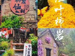 -淄博花灯齐彩城
