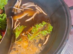 -朱光玉火锅馆(正弘城店)