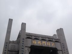 -运河游船(武林门码头)