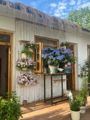 -DORA kids 朵拉儿童摄影花园店