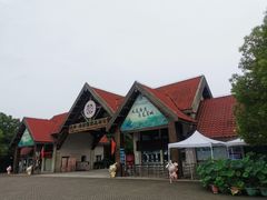 -上海海湾国家森林公园