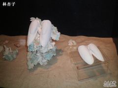 -亚龙湾中心广场·贝壳馆