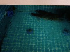 -元银甲·湖北地标美食(汉阳店)