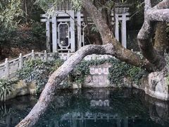 -蝴蝶泉公园
