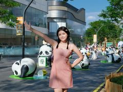 -东莞松山湖万象汇