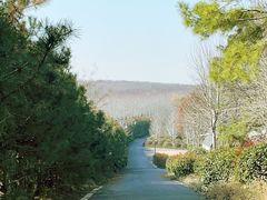 -南京枫彩漫城