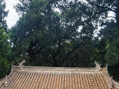 -七曲山风景区
